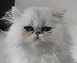 wpe9af8abb.png