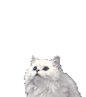 chat-gif-104.gif